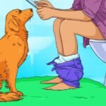 Key Legal Tips for Protecting Your Rights in America